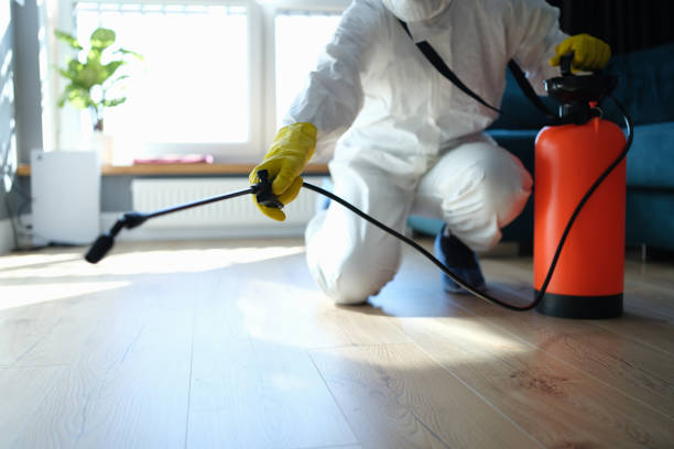 Reliable Blood Cleanup contractor in Half Moon Bay, CA by Trauma Clean Pros